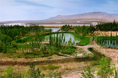 beats365(�й���)-Ψһ�ٷ���վ