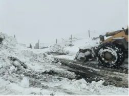 beats365(�й���)-Ψһ�ٷ���վ